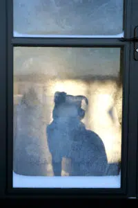 Insulated Storm Doors Bismarck ND Insulated Storm Doors Bismarck ND