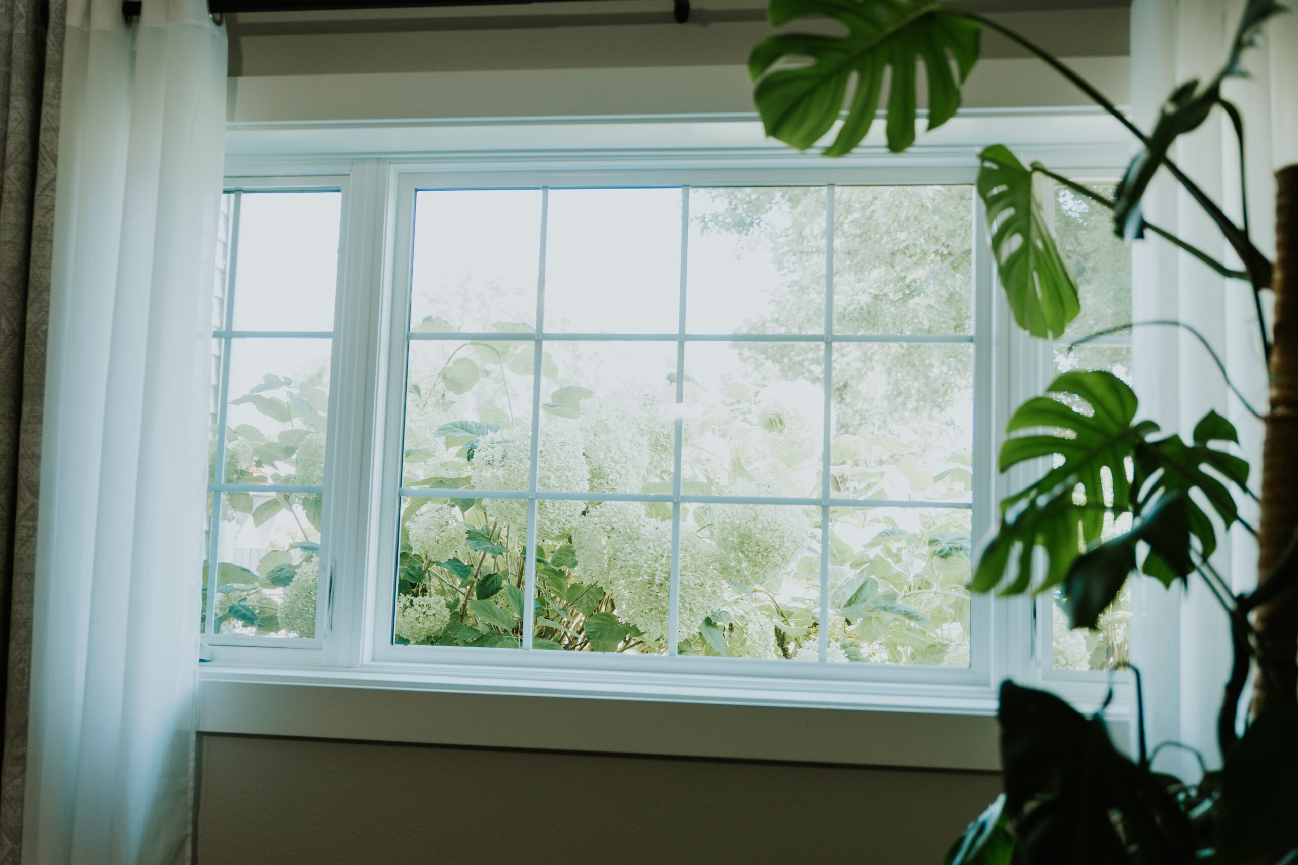 Bismarck ND window installation
